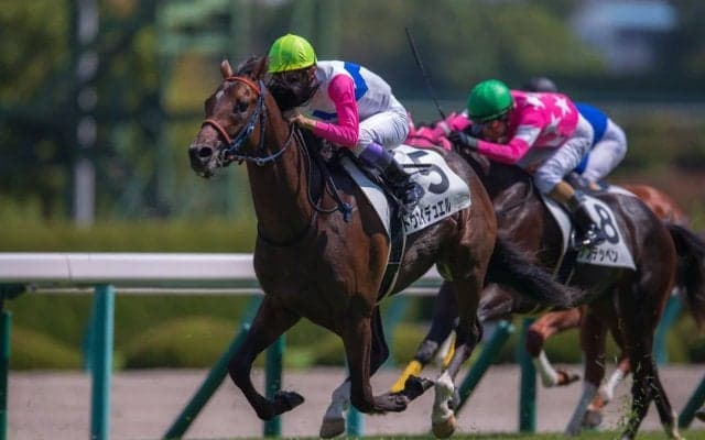 【阪神3R】武豊トウカイデュエルがゴール寸前の差し切り！