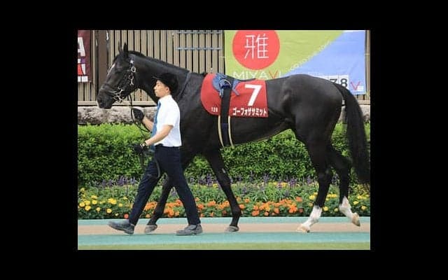 オールカマーは過去の激走条件を満たす３頭が、人気３頭をビビらせる