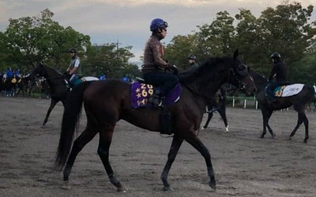 【オールカマー】レイデオロ 新パートナー福永で復活を期す