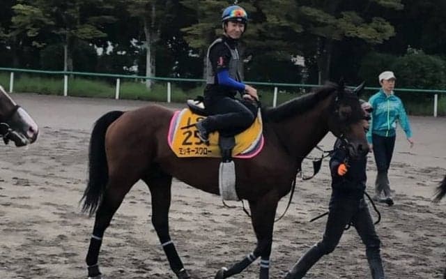 【オールカマー】ミッキースワロー 親子コンビで再びタイトル狙う