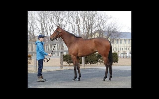 「従順で素直」なレッドルレーヴ。繁栄の一族から新たなスター誕生か