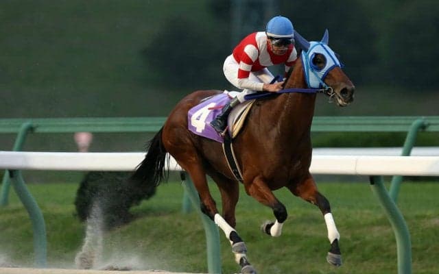 【盛岡・ヴィーナススプリント】ペキノワが３馬身差で完勝！1番人気ツララを競り落とし転入初戦を白星発進