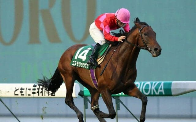 【盛岡・OROカップ】コスモリョウゲツが３馬身差で完勝！