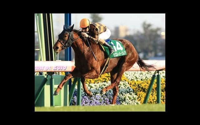 コース適正も血統も抜群。スプリンターズＳは牝馬２頭で決まり