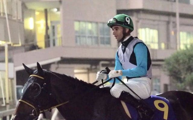 【レディスプレリュード】JRA出走予定馬