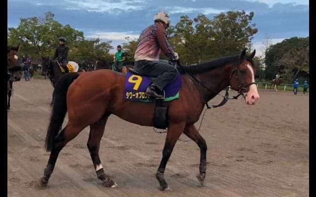 【スプリンターズS】タワーオブロンドン 藤沢和師「差はない」