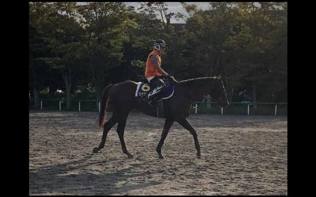 【スプリンターズS】セイウンコウセイ 上原師「昨年よりもいいコンディション」
