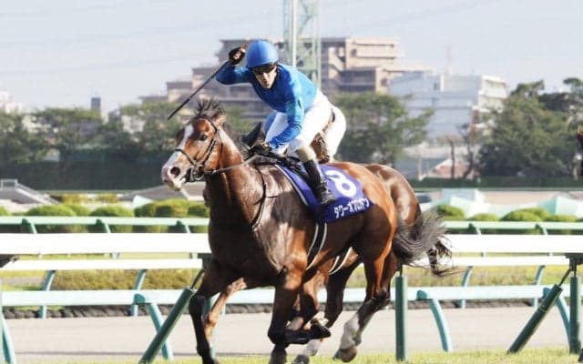 【スプリンターズS】タワーオブロンドンが直線一気の差し切り！