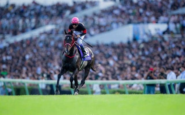 【スプリンターズS】武豊「一か八かの競馬」ファンタジストは最下位敗退