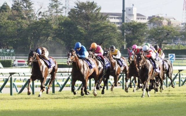【スプリンターズS】川田「馬の雰囲気は抜群に良かった」レース後ジョッキーコメント