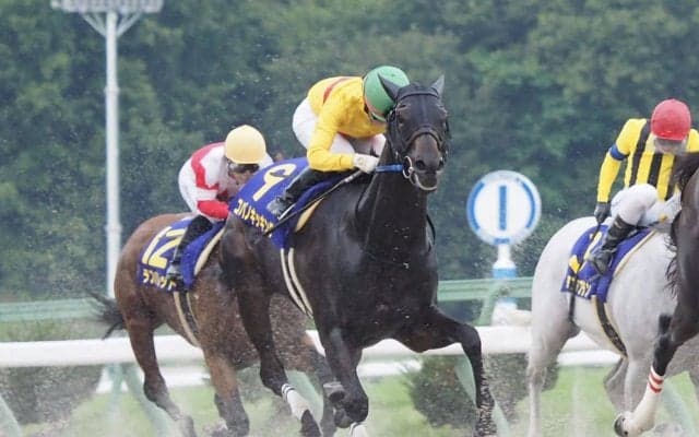 【東京盃】枠順と見どころ 菜七子コパノキッキングは2枠2番