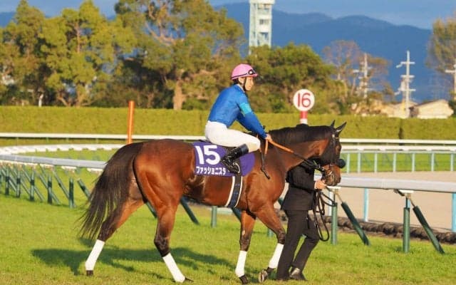 【レディスプレリュード】枠順と見どころ ファッショニスタは7枠10番