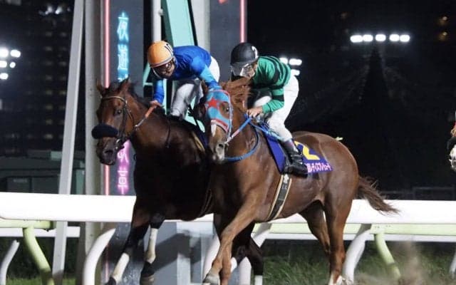 【レディスプレリュード】アンデスクイーンがゴール寸前で差し切り！交流重賞を連勝