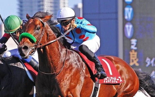 2019凱旋門賞（G1）日本馬の近況（10月2日）