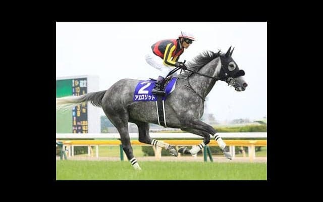 毎日王冠の狙いは２頭が中心。逃げる「紅一点」馬か追う３歳有力馬だ