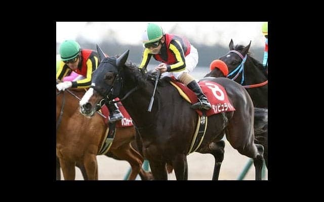 京都大賞典は例年の傾向から一変。好位から粘り込める３頭が狙い目だ