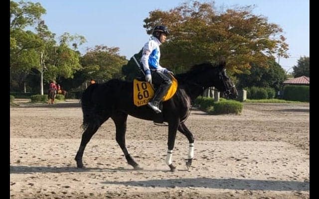 【毎日王冠】ダノンキングリー 戸崎「この秋は大きなタイトルを」