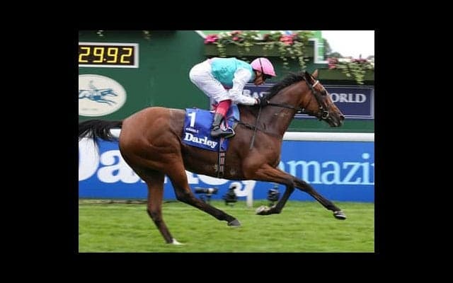 エネイブルの凱旋門賞３連覇はアリ。武豊の騎乗馬などその他注目は？