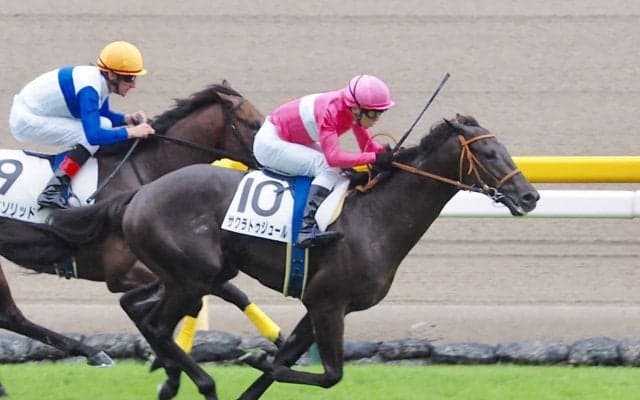 【新馬/東京5R】サクラトゥジュールが完勝！デビューV