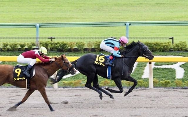 【グリーンチャンネルC】アディラートがダートで6勝目
