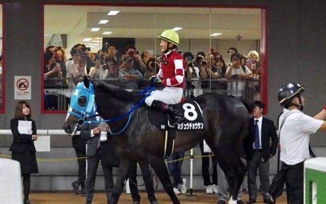 【六社S】石神「上がり勝負になってしまった」二刀流オジュウチョウサンは見せ場なく敗退