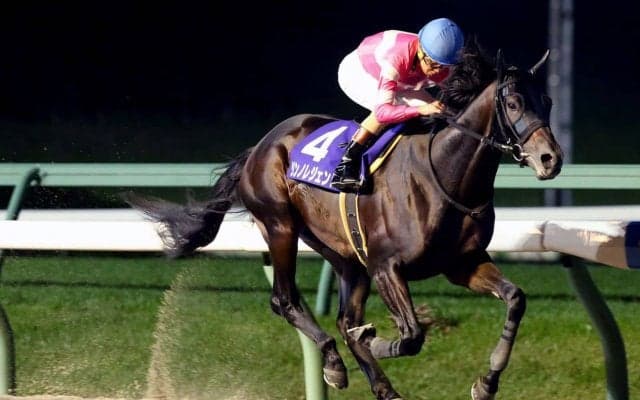 【盛岡・ダービーグランプリ】リンノレジェンドが快勝！