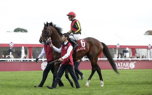 【凱旋門賞】フィエールマン関係者コメント