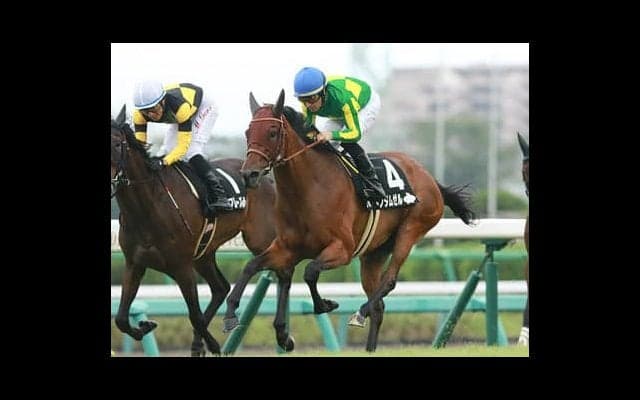 白熱の秋華賞。好相性の血を併せ持つ２頭が快走する！