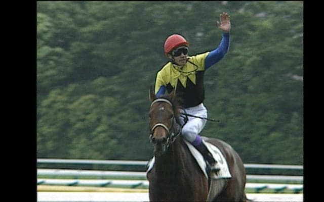 ディープインパクト追悼番組が放送