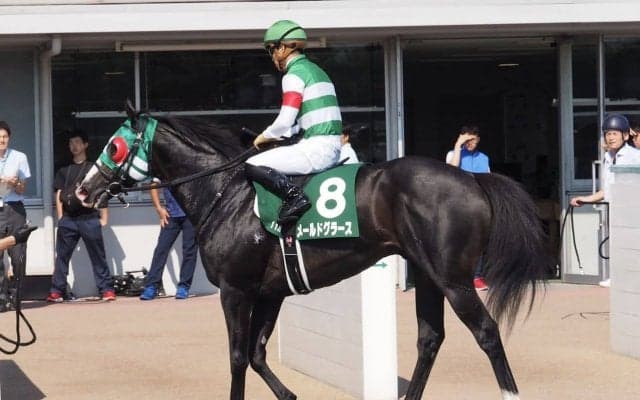 2019コーフィールドカップ（G1）日本馬の近況（10月10日）