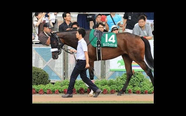 穴党記者が近年の秋華賞の傾向を分析。そこから導き出された穴馬４頭