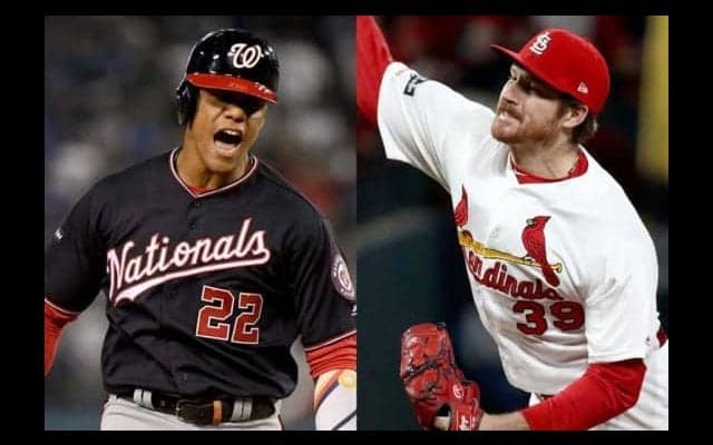 【MLB 優勝決定S】元Gマイコラスとソトの“地味すぎる”やり合いに米メディア注目　掴んだ部分は…