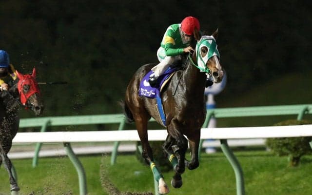 【盛岡・若駒賞】グランコージーが完勝！