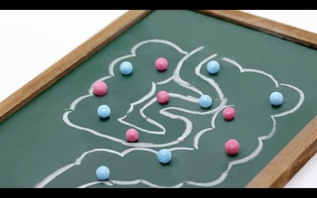 その不調、腸内環境が原因かも？