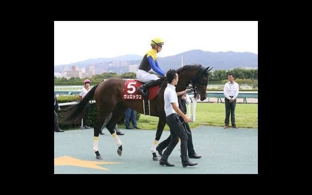 菊花賞１番人気に押し出されたヴェロックス。不安は距離よりむしろ…