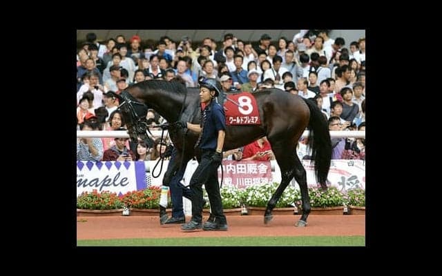 菊花賞に強いディープインパクト産駒。人気薄でも好走に期待大！