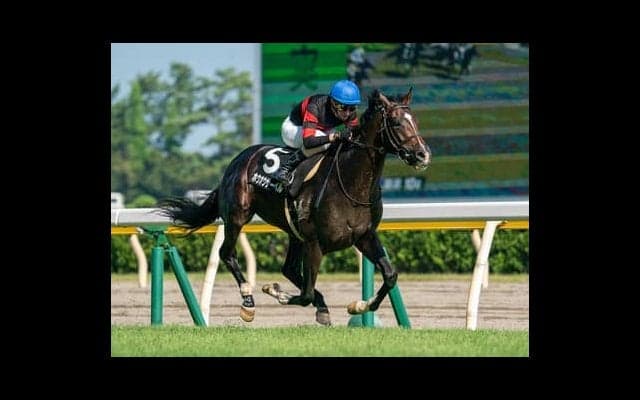 菊花賞は春の実績馬が手薄。夏の上がり馬２頭に一発チャンスが膨らむ