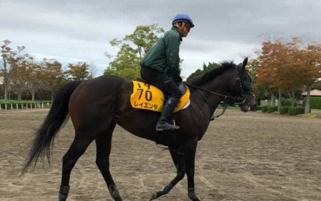 【富士S】レイエンダ スミヨンで巻き返し狙う！