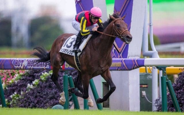 【新馬/東京5R】良血フィリオアレグロがデビューV！ 半兄にサトノクラウン