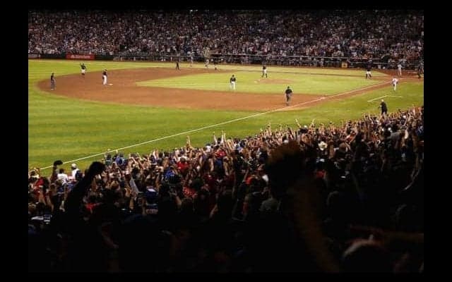 ダイヤモンドバックス谷澤トレーナーが伝えたい「チームビルディング哲学」とは