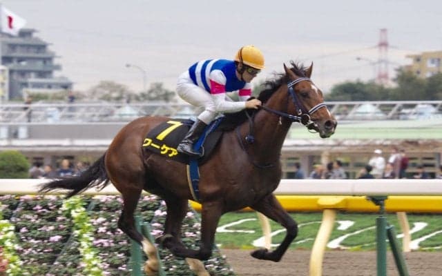 【アイビーS】圧倒的人気 ワーケアがデビュー2連勝！