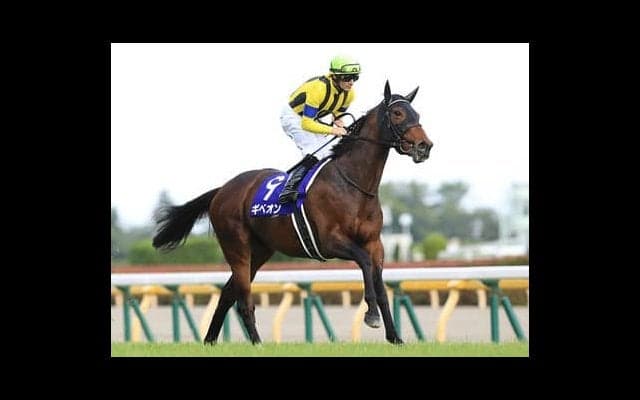 ２億円の高額馬サトノフウジンは「兄と違いスピードの絶対値が高い」