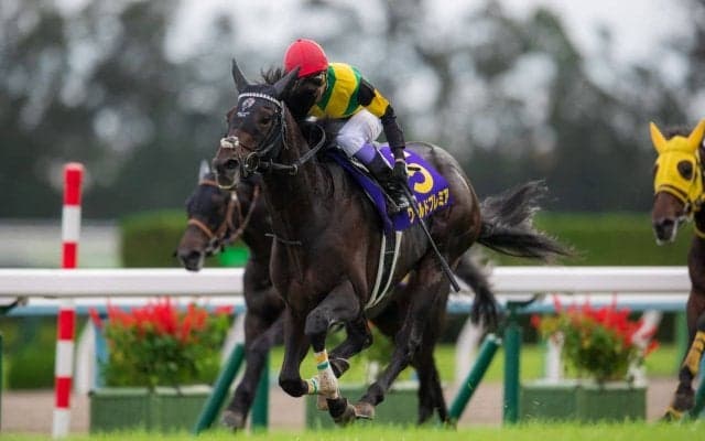 【菊花賞】 武豊 ワールドプレミアが最後の1冠を制する！