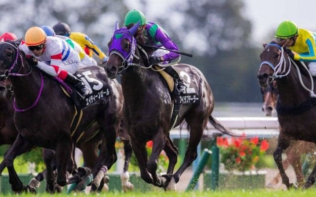 【桂川S】武豊 アイラブテーラーが人気に応えて差し切り！