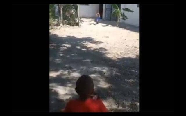 ドミニカに“超天才”剛速球4歳少年が出現、米ファンから心配の声「7歳で手術だ」