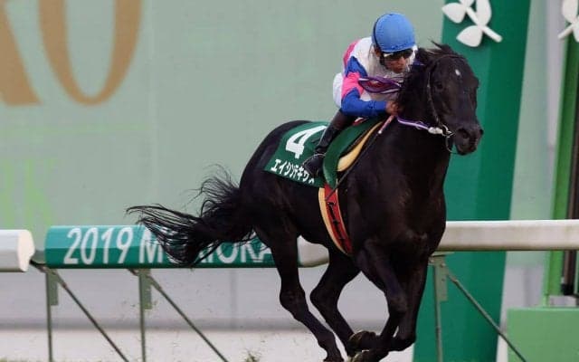 【盛岡・OROターフスプリント】愛知代表エイシンテキサスが快勝！