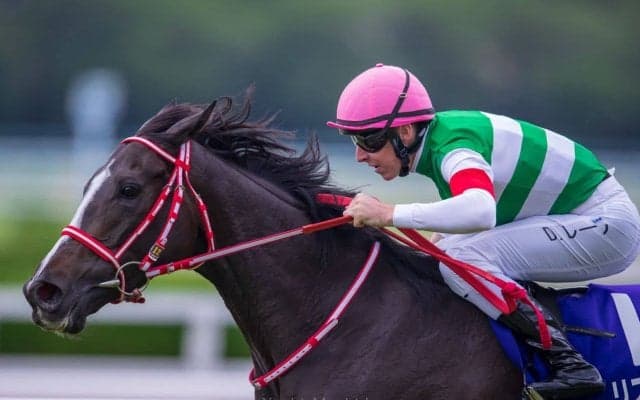 2019コックスプレート（G1）日本馬の近況（10月22日）