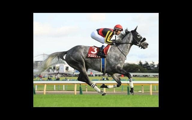 ＧＩ馬からでも高配当が狙える天皇賞・秋。穴党記者の狙いはこの４頭