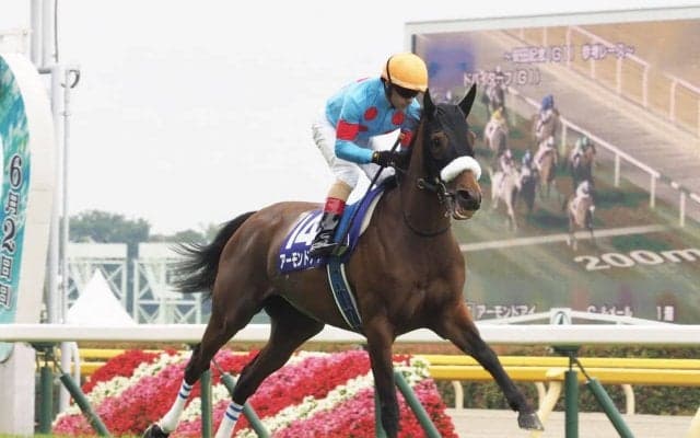 【天皇賞・秋】枠順と見どころ アーモンドアイは1枠2番