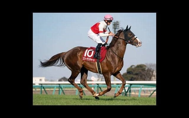 天皇賞・秋は２強が断然ムードも「劇薬」背にしたあの馬が一角崩すか